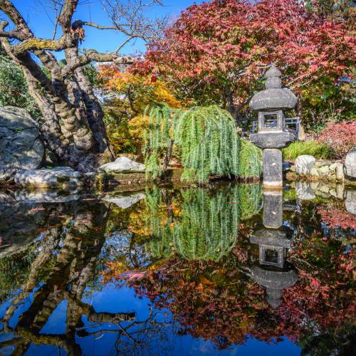 This Week at Phipps: Oct. 27 – Nov. 2 This Week at Phipps: Oct. 27 – Nov. 2