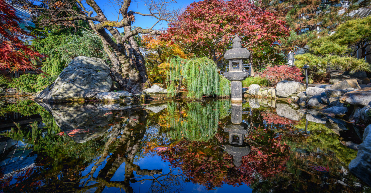 This Week at Phipps: Oct. 27 – Nov. 2 This Week at Phipps: Oct. 27 – Nov. 2