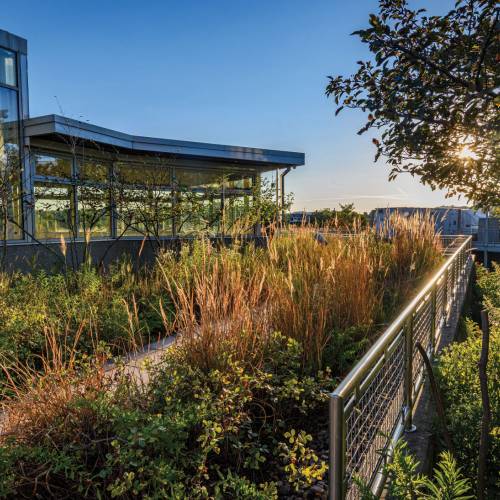 This Week at Phipps: Oct. 6 – 12 This Week at Phipps: Oct. 6 – 12