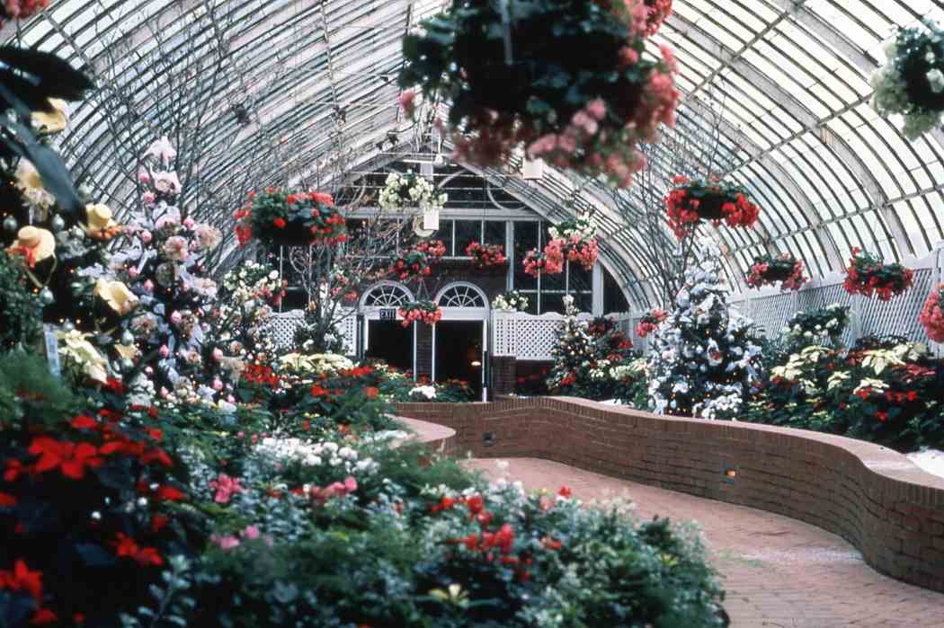 Winter Flower Show 1983: A Victorian Christmas