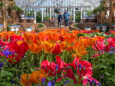 Phipps Conservatory and Botanical Gardens on X: Join us on Jan