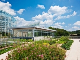 Center for Sustainable Landscapes Green Roof