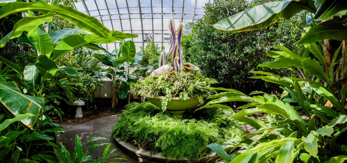 Tropical Fruit and Spice Room | Phipps Conservatory and Botanical